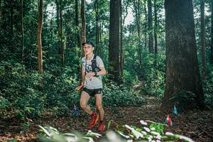 BIB: 
                            <button type="button" onclick="openModal(26069611)" class="btn btn-primary btn-sm float-right btn-popup" data-toggle="modal" data-target=".modal-high-quality">
                        <i class="fas fa-shopping-cart"></i> Add to Cart
                    </button>
                                            <button type="button" onclick="isThisMe(26069611, true)" class="btn btn-success btn-sm float-right btn-popup btn-isme hidden" data-toggle="tooltip" data-placement="bottom" title="นี่คือรูปของคุณใช่ไหม คลิกที่นี่เพื่อเอาเข้าอัลบั้ม">
                        <i class="fas fa-plus"></i> Add to album
                    </button>
                    <button type="button" onclick="isThisMe(26069611, false)" class="btn btn-warning btn-sm float-right btn-popup btn-isnotme hidden">
                        <i class="fas fa-ban"></i> Remove from album
                    </button>